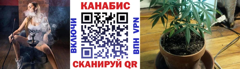 Купить где  Сосновоборск  Марихуана ГИДРОПОН 